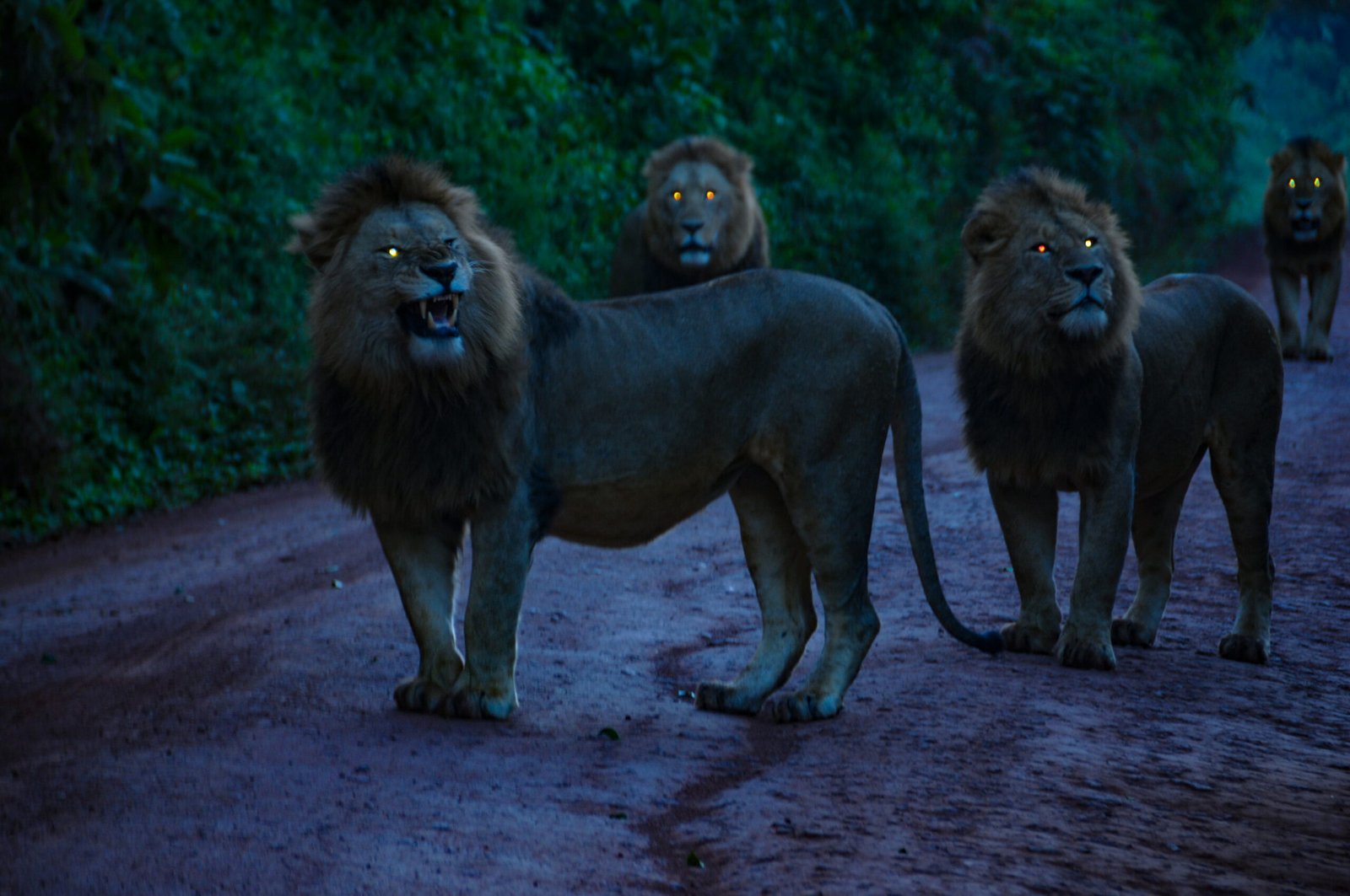 52227284634 a36bced25a o